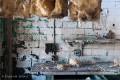 20110312_6019