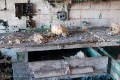 20110312_6022