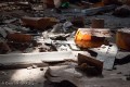 20110312_6100