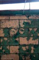 20110312_6154