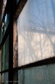 20110312_6163