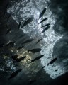 20151221-36