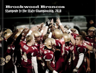 BHS Broncos Photo Book “Brookwood Broncos – Stampede to the State Championship, 2010″ is my second photo book available from MyPublisher. It was primarily created for my step-brother, who is a senior at BHS and a co-captain on the football team. As a secondary reason, I wanted to create something memorable for the rest...