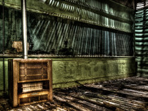 There were rumors of an old school so pristine that even taggers and scrappers had not hit it. Where the walls were covered in storybook characters, and the rooms exposed their bones behind the plaster. The only downside was that the location was very much out of town, far enough...